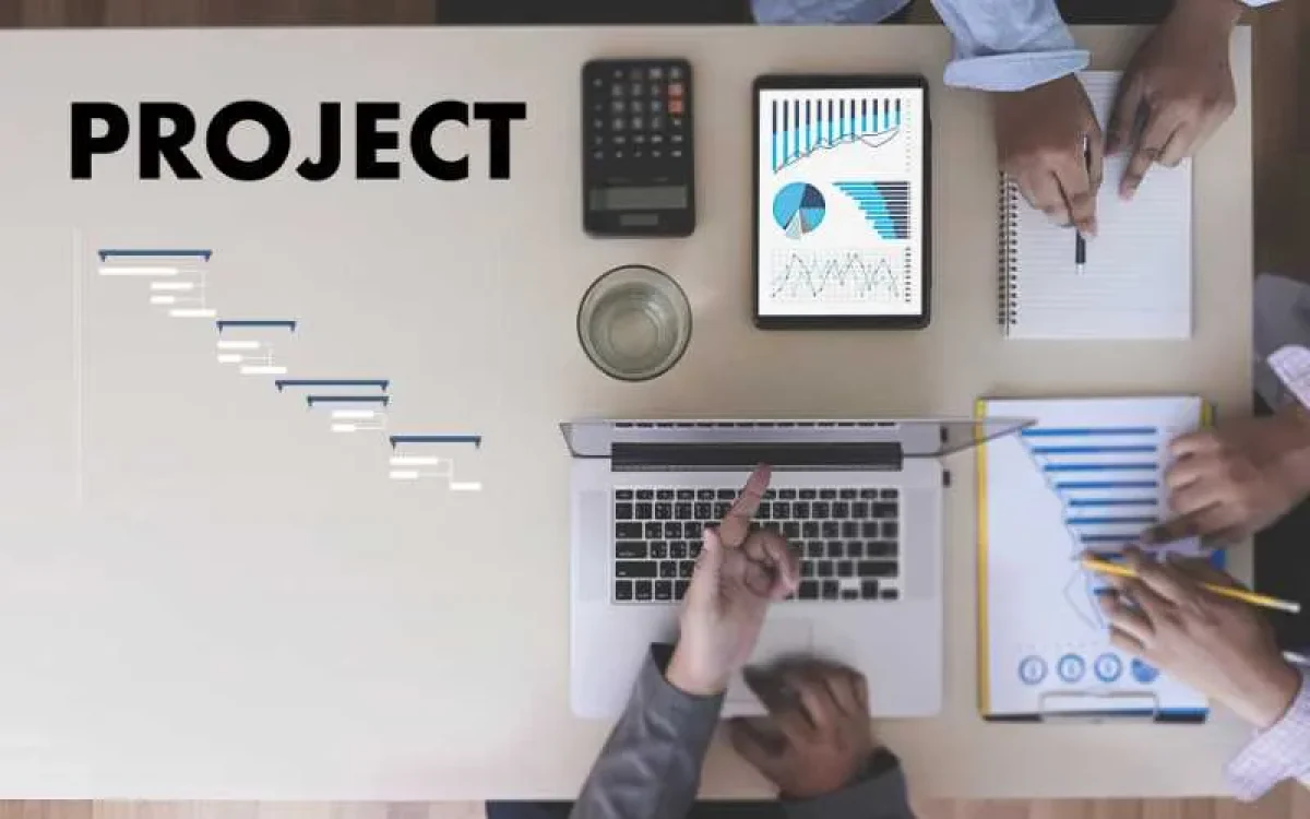 The Dos and Don'ts of Project Management 1 The Dos and Don'ts of Project Management