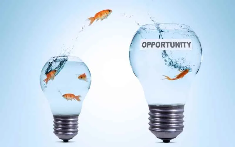 career opportunities