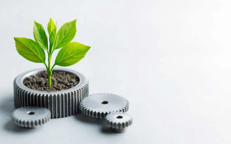 Sustainability and Innovation